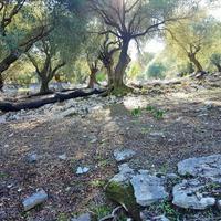 Land plot in Greece, 152 sq.m.