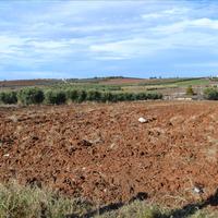 Land plot in Greece
