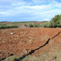 Land plot in Greece