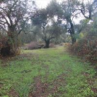 Land plot in Greece