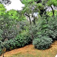 Flat in Greece, 127 sq.m.