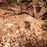 Other in Greece, 150 sq.m.