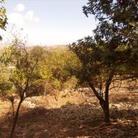 Other in Greece, 150 sq.m.