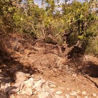 Other in Greece, 150 sq.m.