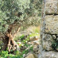 Other in Greece, 150 sq.m.