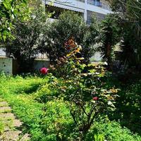 Other in Greece, 150 sq.m.