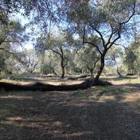 Земельный участок в Греции