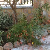 Villa in Greece, 150 sq.m.