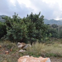 Land plot in Greece