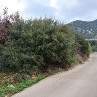 Land plot in Greece
