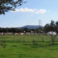 Land plot in Greece, 90 sq.m.