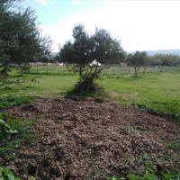 Land plot in Greece, 90 sq.m.