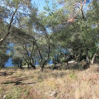 Land plot in Greece
