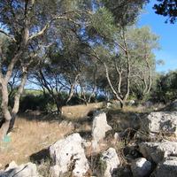 Land plot in Greece