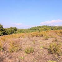 Land plot in Greece
