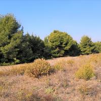 Land plot in Greece