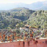 Villa in Greece, 163 sq.m.