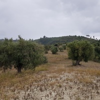 Land plot in Greece
