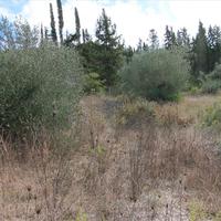 Land plot in Greece