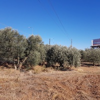 Land plot in Greece