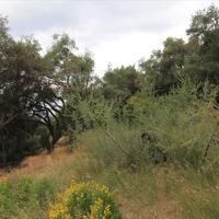 Земельный участок в Греции