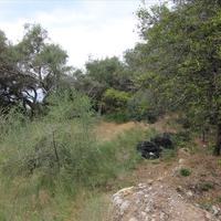 Земельный участок в Греции