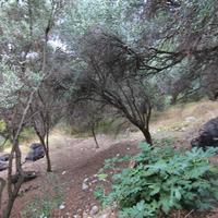 Земельный участок в Греции