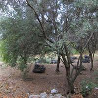 Земельный участок в Греции