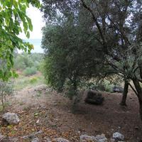 Земельный участок в Греции