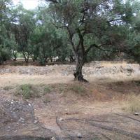 Земельный участок в Греции