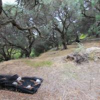 Земельный участок в Греции