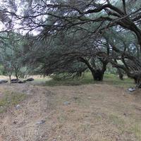 Земельный участок в Греции