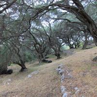 Земельный участок в Греции