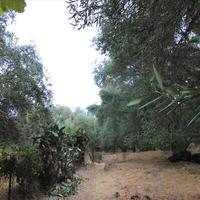 Земельный участок в Греции