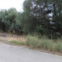 Земельный участок в Греции