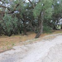 Земельный участок в Греции