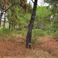 Земельный участок в Греции