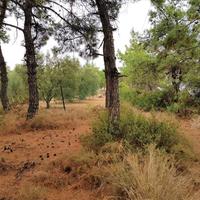 Земельный участок в Греции