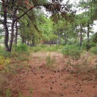 Земельный участок в Греции