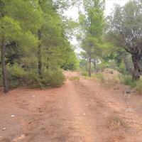 Land plot in Greece