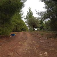 Land plot in Greece