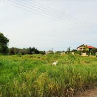 Land plot in Greece, 3100 sq.m.