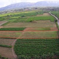 Land plot in Greece