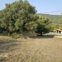 Land plot in Greece