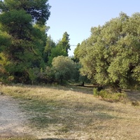 Land plot in Greece