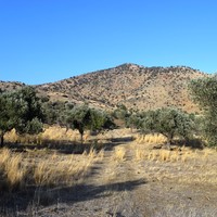 Land plot in Greece