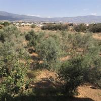 Other in Greece, 142 sq.m.