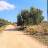 Land plot in Greece