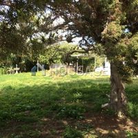 Villa in Republic of Cyprus, Lemesou, 440 sq.m.