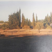 Land plot in Greece